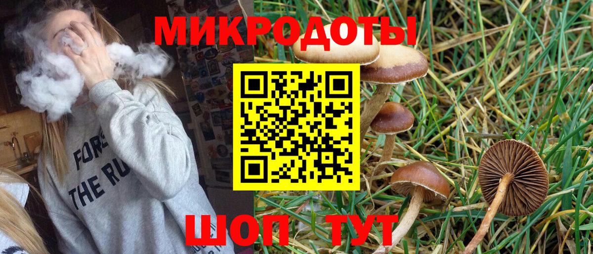 Галлюциногенные грибы Psilocybe Горячий Ключ