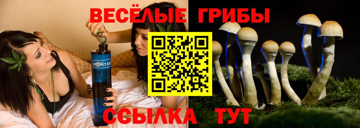 Горячий Ключ  цены наркотик  Вход с VPN  Псилоцибиновые грибы Psilocybine cubensis 